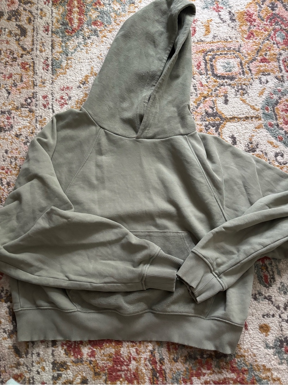 aerie Hoodie
